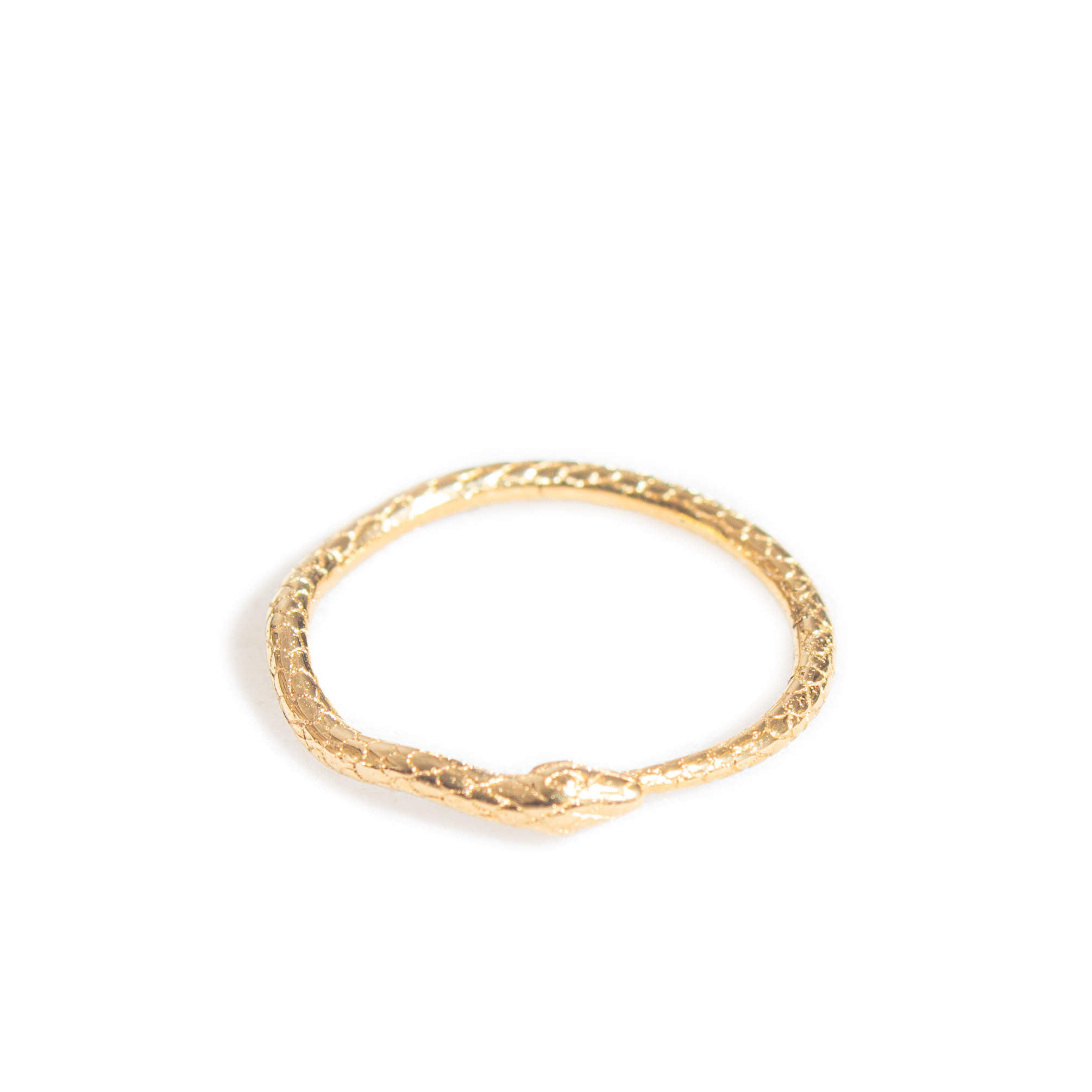 Ouroboros Ring