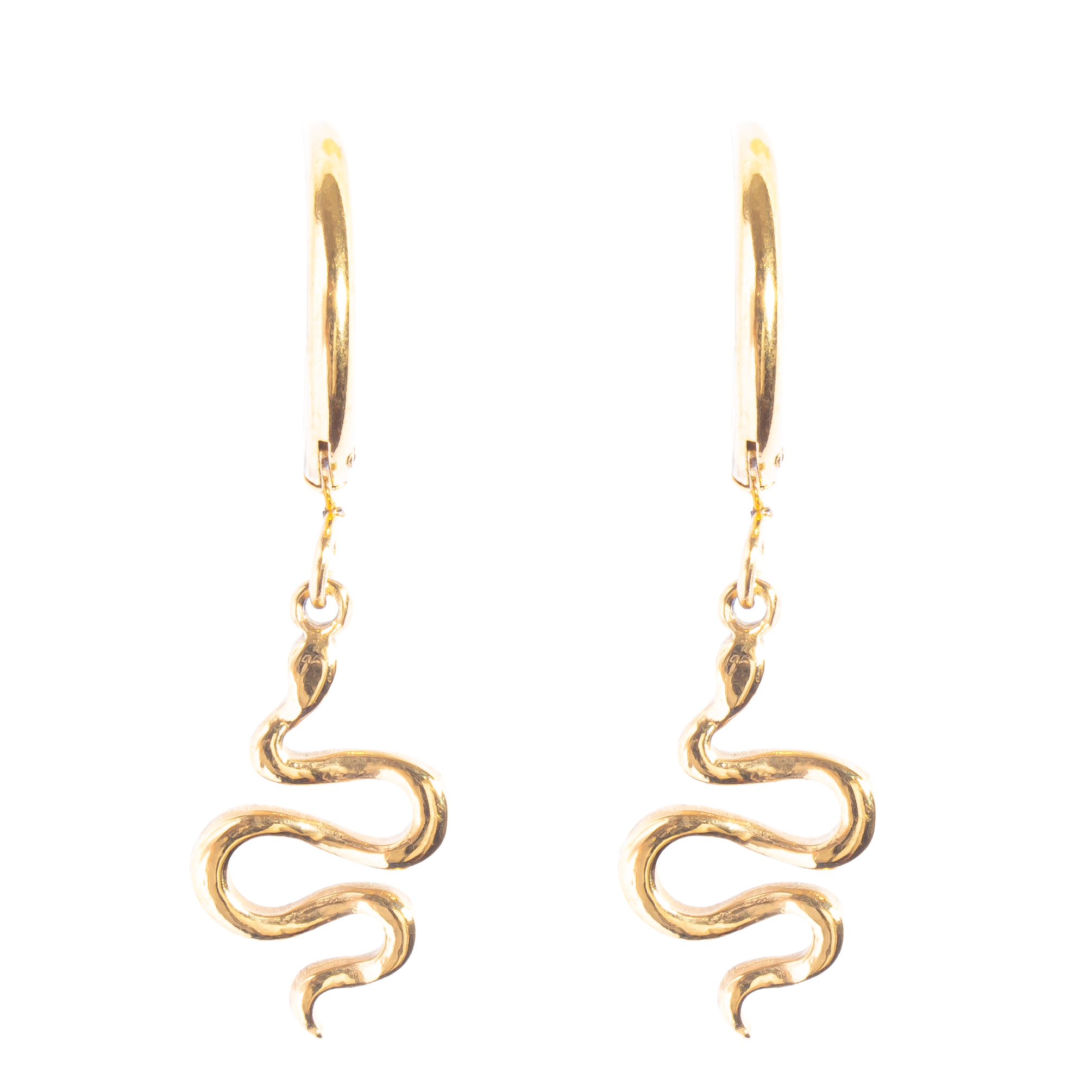 Snake Hoops